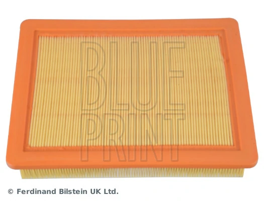 Blue Print ADBP220116