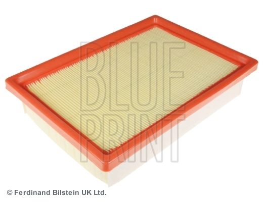 Blue Print ADG022117