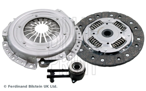 Blue Print ADF123093