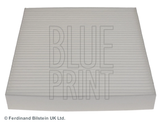 Blue Print ADG02567