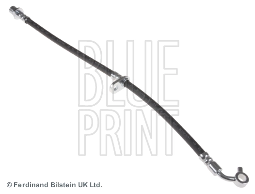 Blue Print ADH253192