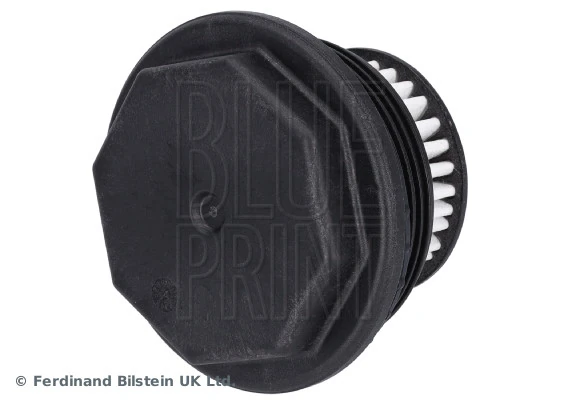Blue Print ADBP210154