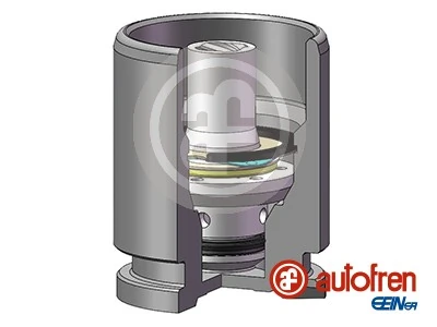 Autofren D02593K