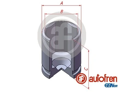 Autofren D025543