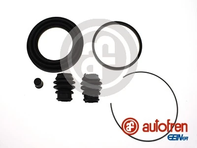 Autofren D43098