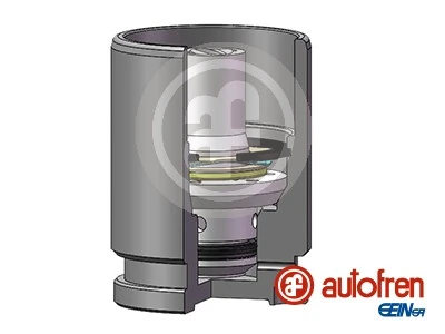 Autofren D02519K
