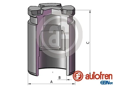 Autofren D025805