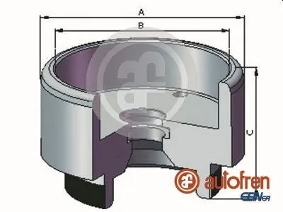 Autofren D025721