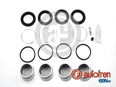 Autofren D42109C
