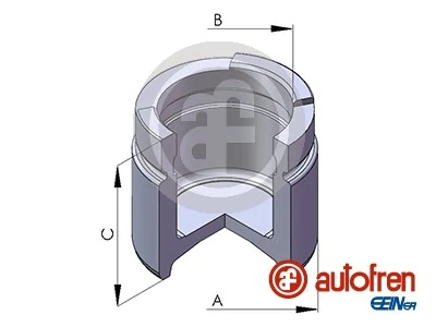 Autofren D02571