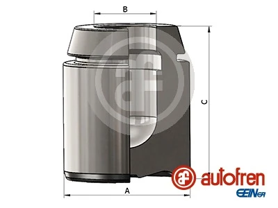Autofren D025493