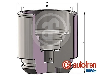 Autofren D025691