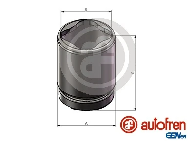Autofren D025684