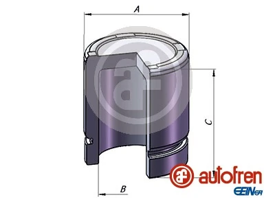 Autofren D025357