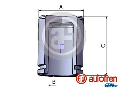 Autofren D025302
