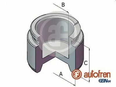 Autofren D025479