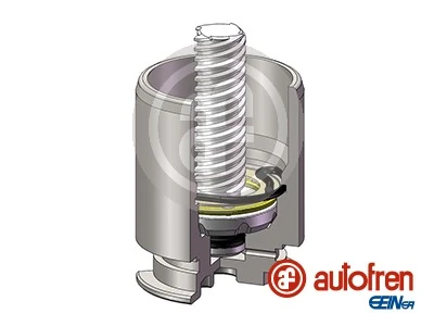 Autofren D025422RK
