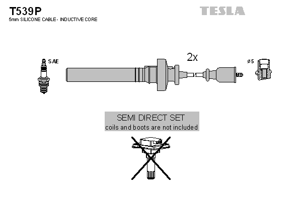 TESLA T539P