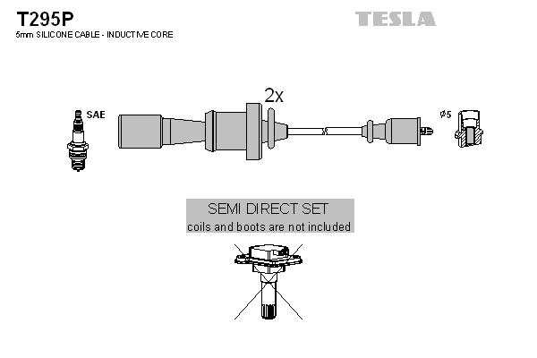 TESLA T295P