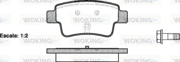 WOKING P1098300
