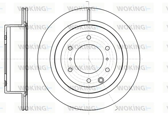 WOKING D6109910