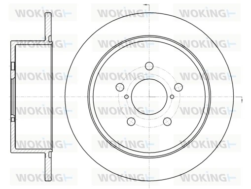 WOKING D6130000
