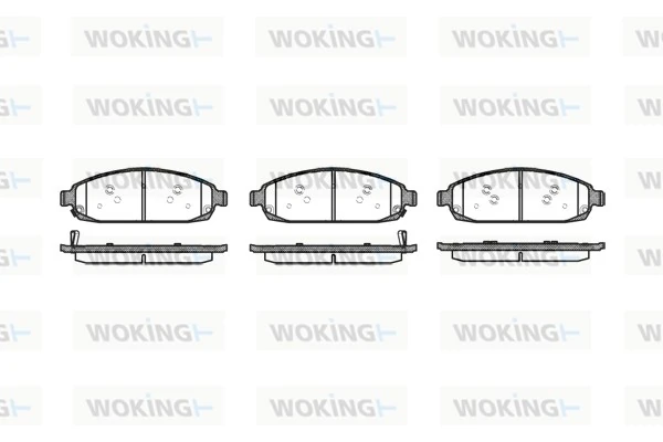 WOKING P1073302