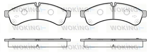WOKING P1239300