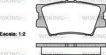 WOKING P1331300