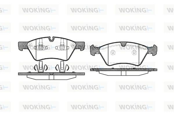 WOKING P1079300