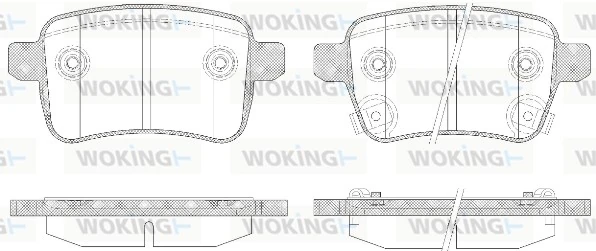 WOKING P1550312