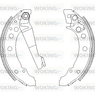 WOKING Z404500