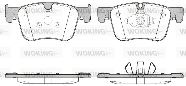 WOKING P1460310