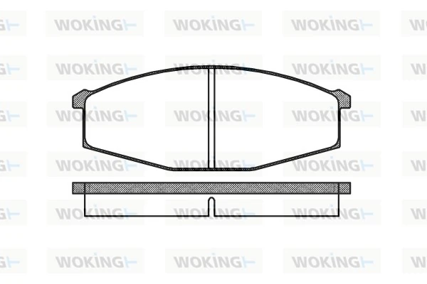 WOKING P029300