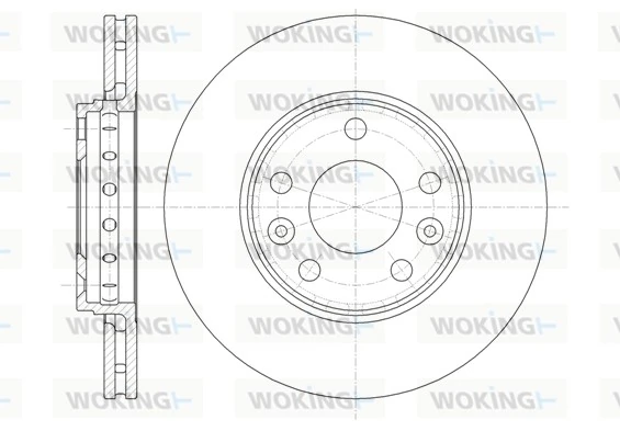 WOKING D6134610