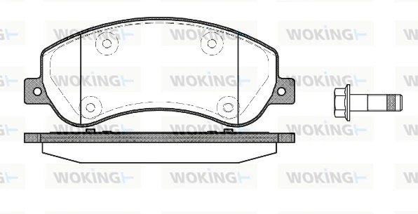 WOKING P1350300