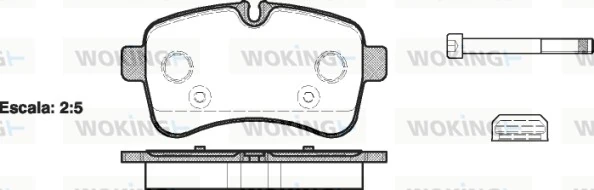 WOKING P1382300