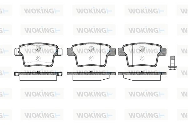 WOKING P1049310