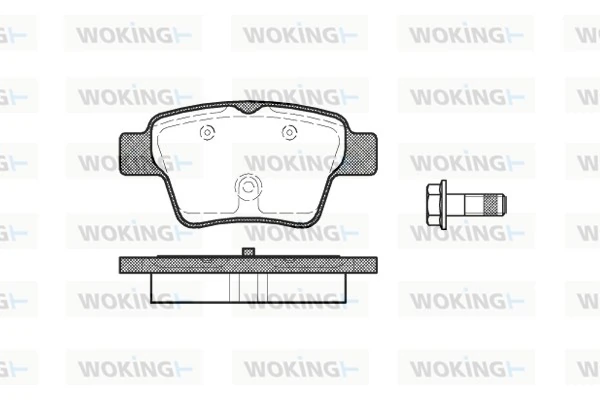 WOKING P1038300