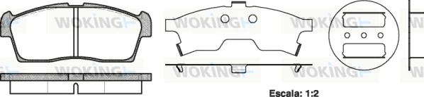WOKING P1099300