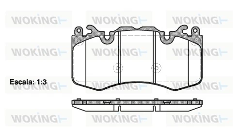 WOKING P1510300