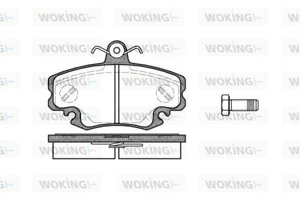 WOKING P041310