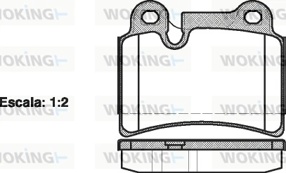 WOKING P1340300
