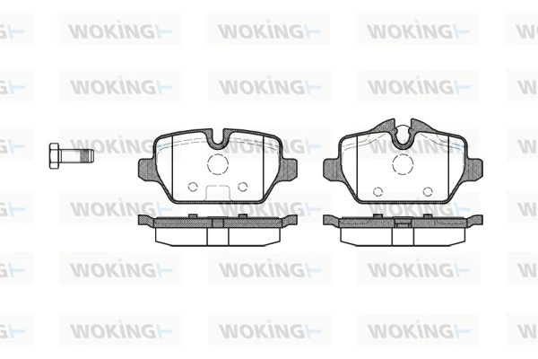 WOKING P1032300