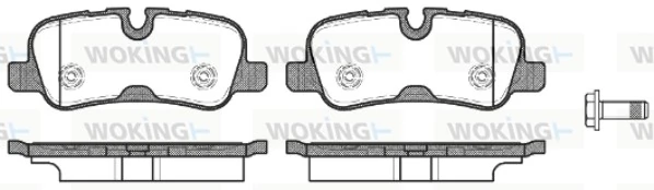 WOKING P1059310