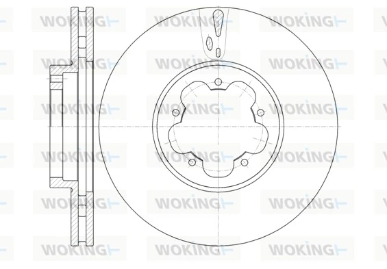 WOKING D6102210