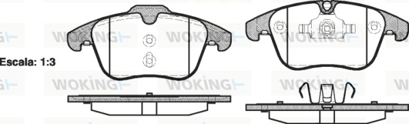 WOKING P1319300