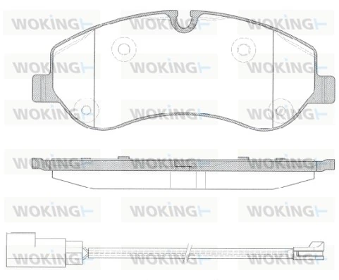 WOKING P1420302