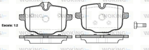 WOKING P1533300