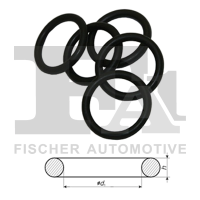 FA1 (Fischer Automotive) 631590100